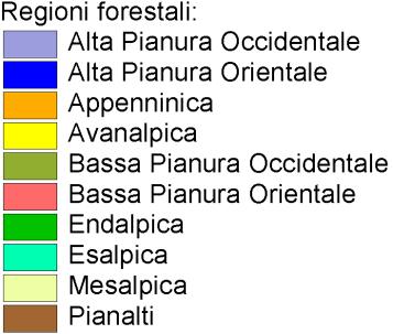 vegetale, ecc.