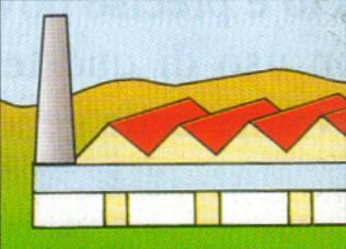 Produzione SEGATI LAVAGGIO