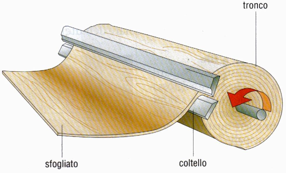 SFOGLIATURA Il tronco di legno, già scortecciato, viene lavorato da una macchina sfogliatrice: arpionato agli estremi, ruota lentamente contro una