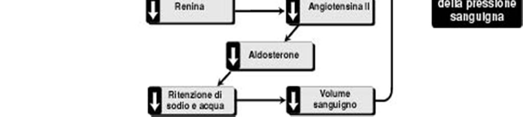 Riducono la contrattilità