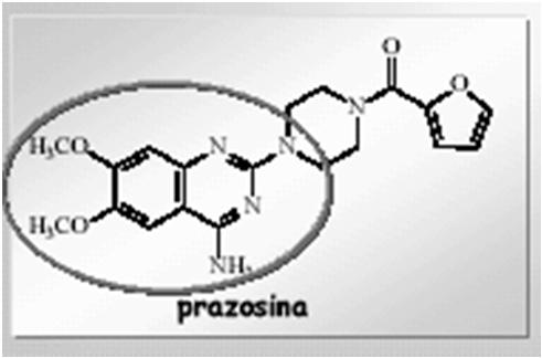 α1-antagonisti SELETTIVI Derivati delle chinazoline Prazosina (Minipress ) emivita 9-12 ore Terazosina