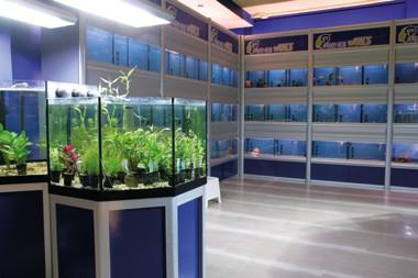 LO STORE I Punti vendita Fish Ok!