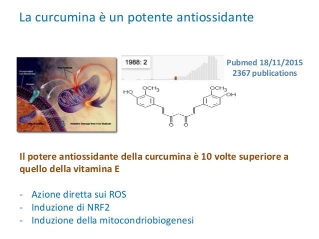 Studi scientifici in letteratura hanno dimostrato l efficacia della curcumina nel ridurre lo stress ossidativo e l infiammazione indotti dall esercizio fisico.