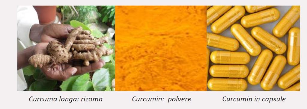 Da 1 a 3 grammi totali al giorno, meglio se divisi in 2-3 dosi giornaliere Estratto concentrato di Curcumina, il principio attivo