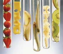 CONCLUSIONI Variazioni genetiche individuali possono influenzare il modo con cui un nutriente può essere assimilato, metabolizzato, conservato ed escreto.