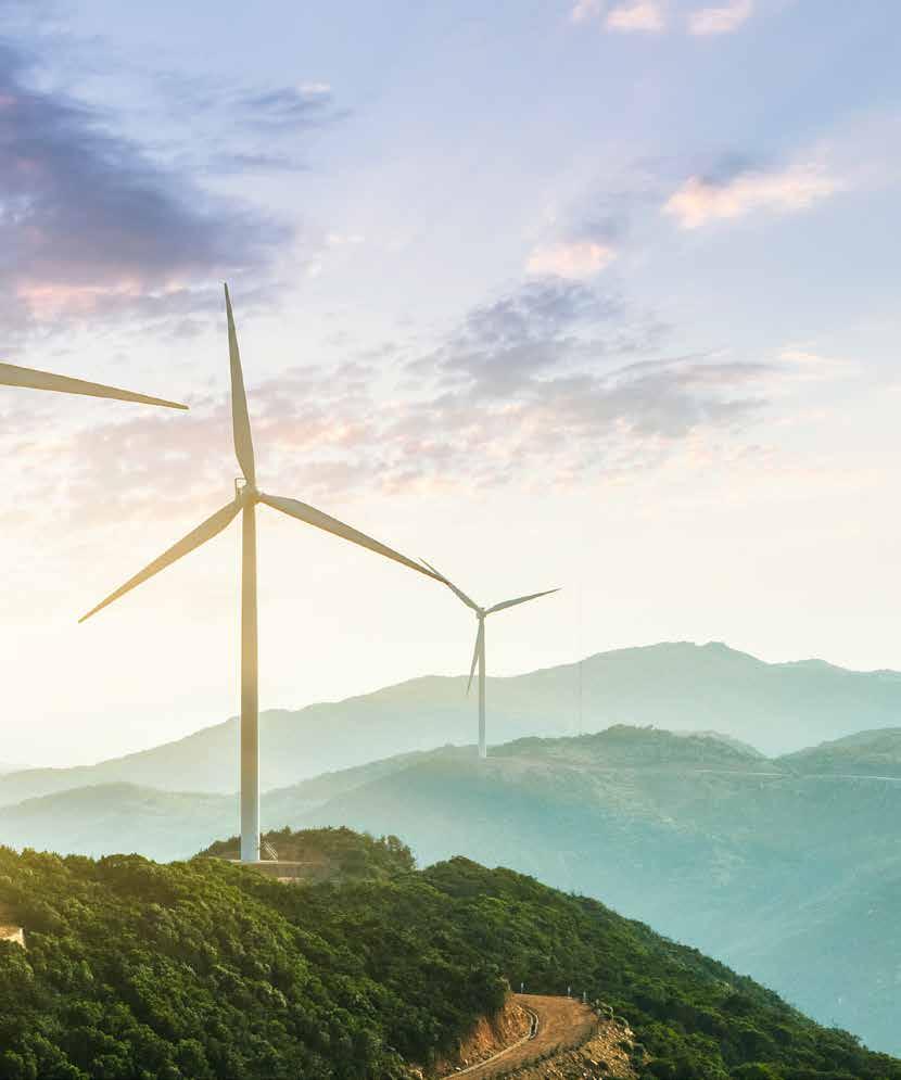 CONCRETEZZA Ogni prodotto EcoNatural concorre al raggiungimento di concreti risultati in termini di sostenibilità ambientale.