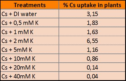 Per i successivi esperimenti di uptake è stata utilizzata una concentrazione di CsCl in soluzione 0,5 mm evitando quindi le
