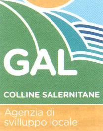 2 L Albo è costituito da un Elenco di operatori economici (Fornitori di Beni o Prestatori di Servizi) per i quali risultano preliminarmente comprovati i requisiti di capacità economica e finanziaria