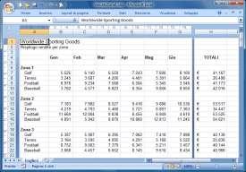 Excel 2007 VERSIONE PERSONALE DI STUDENTE EBOOK01 costringere Excel a inserire più informazioni su una pagina stampata, riducendo in stampa la dimensione dei caratteri costituenti le informazioni.