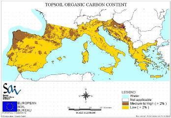 La sostanza organica e il suolo Il suolo è il 2 ecosistema per contenuto di C dopo gli oceani.