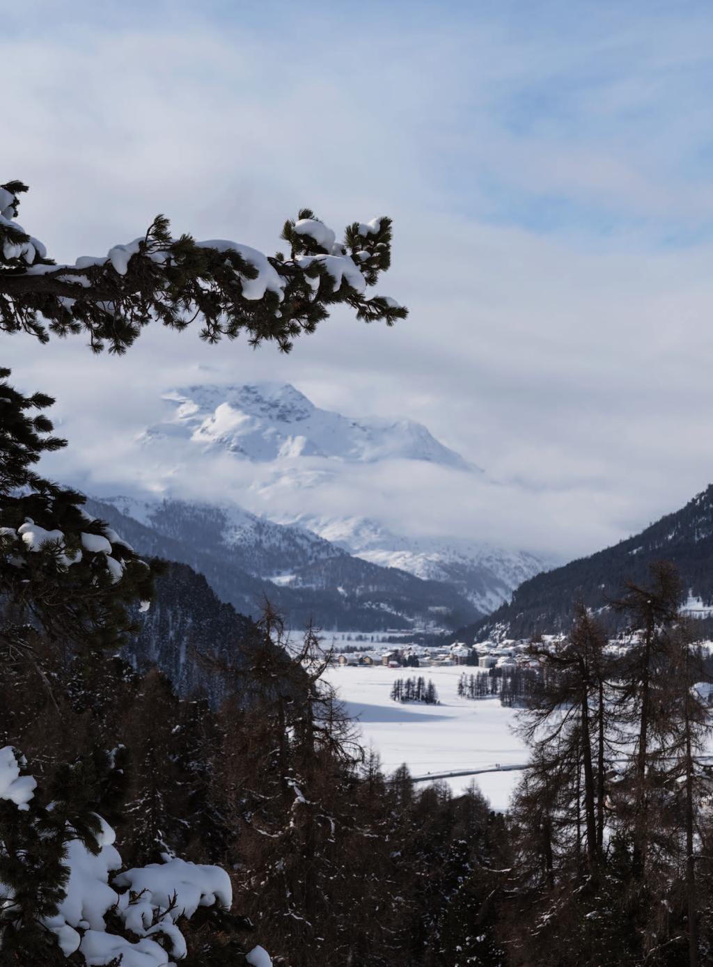 N Nello splendido paesaggio dell Engadina, lo studio di architettura di Roma Lazzarini e Pickering ha realizzato un moderno e originale chalet.