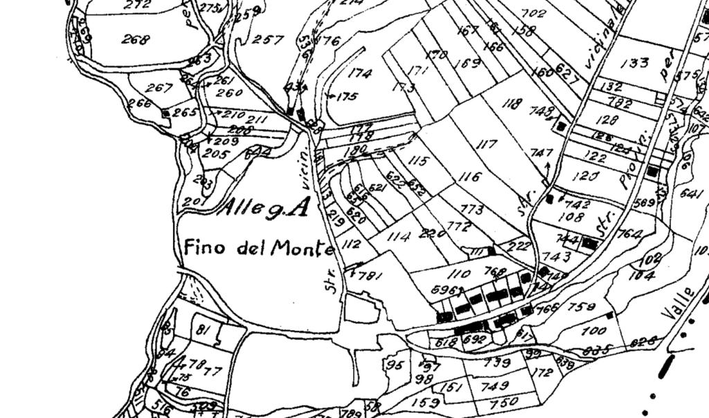 3 Mappa catastale del 1924 Nello studio per la definizione del reticolo idrico minore, redatto dai geologi Daniele Ravagnani e Sergio Santambrogio dello studio Geoter di Ardesio, e dallo scrivente