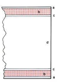 METODI VOLUMETRICI: ESAME RADIOGRAFICO PELLICOLA RADIOGRAFICA Composta da diversi strati: (d) Supporto in triacetato di cellulosa o in poliestere; Su ambo le facce si trovano.