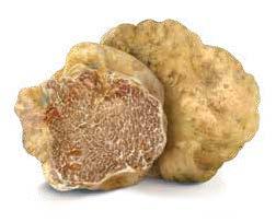 Truffle, Flavouring, USE: suitable to give an intense touch to grilled meat or