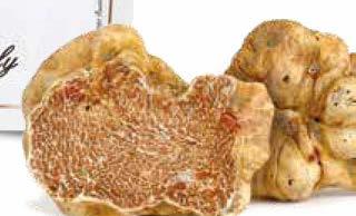 - Aperitruffle Savoury Biscuits With White Truffle: wheat flour, Extra virgin olive oil, Summer