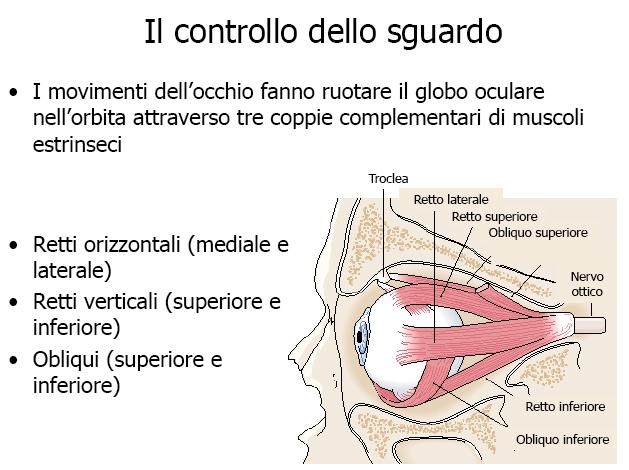 Il sistema