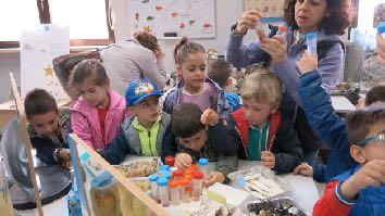 Visite guidate TARGET Scuole primarie Un intrattenimento