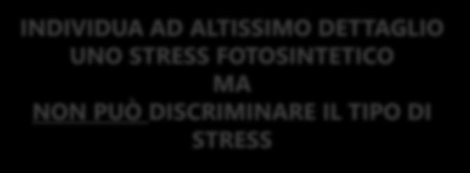 LIMITE APPLICATIVO DELL ANALISI MULTISPETTRALE E DELL INDICE NDVI INDIVIDUA AD ALTISSIMO DETTAGLIO UNO STRESS