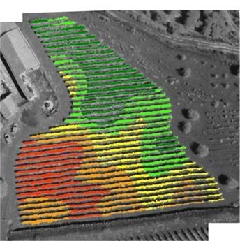 REMOTE SENSING Progetto Cisia 2011-2015 (Catania)