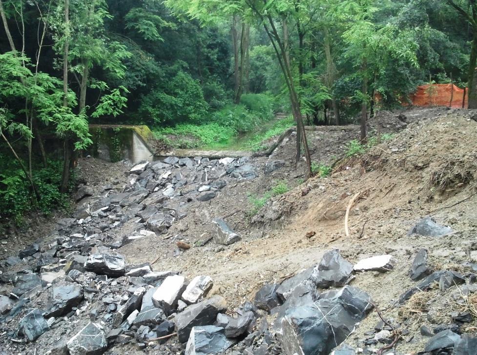 La riqualificazione ambientale dell'alveo del Rio Lavezza è stata attuata mediate la posa di n. 8 salti di fondo naturaliformi e di n.