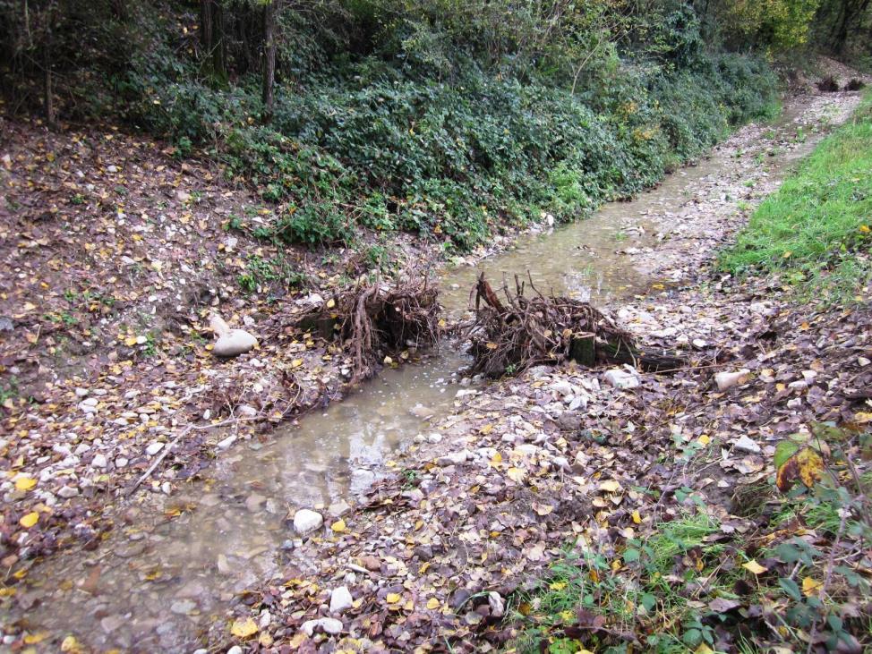 Figura 17 Un salto di fondo naturaliforme realizzato sul Rio Lavezza durante le piogge di fine ottobre 2014. Notare l'accumulo di materiale sul lato di monte.