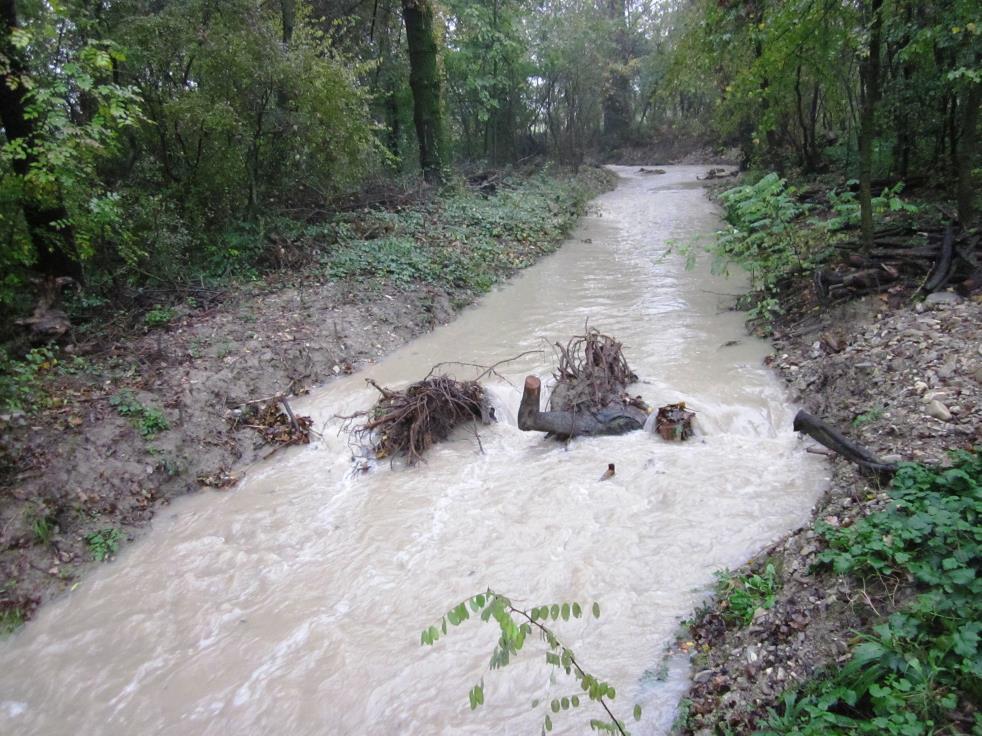 Figura 22 L effetto di un salto di fondo naturaliforme a radici esposte realizzato sul Rio Arianna. Si nota l invaso a monte delle acque e l effetto di locale deviazione della corrente.