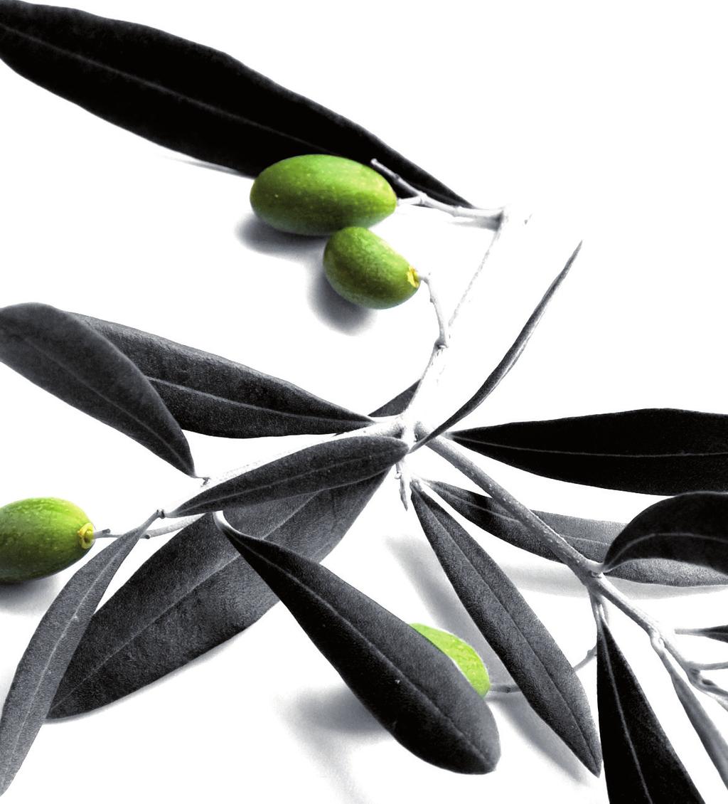poggio ulivo Poggio ulivo olio extra vergine di oliva di qualità superiore estratto a freddo Olio di oliva di categoria superiore ottenuto direttamente dalle olive e unicamente mediante procedimenti