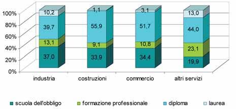 La distribuzione dei titoli di studio è abbastanza differente per i diversi settori economici, ad esempio i servizi richiedono titoli di studio mediamente più elevati, infatti in tale settore è