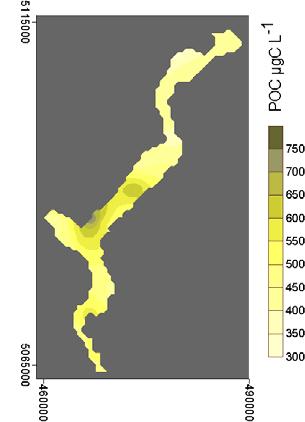 Anche la frazione proteica del particellato, descritta dalla distribuzione spaziale del PON (Fig. 4.2.8) ha rispecchiato l'eterogeneità spaziale del POC. Fig. 4.2.5.