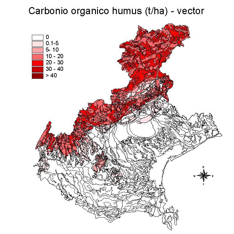 Carbonio organico Carbonio