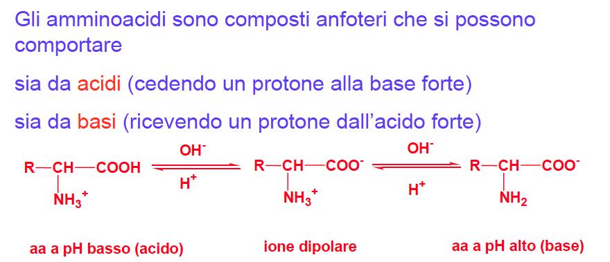 ossia: