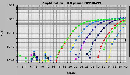 RT- PCR o RQ- PCR (Real Time o Quantitative PCR) Permette non solo la determinazione della presenza ma soprattutto la determinazione quantitativa dei prodotti generati da ciascun ciclo di PCR.