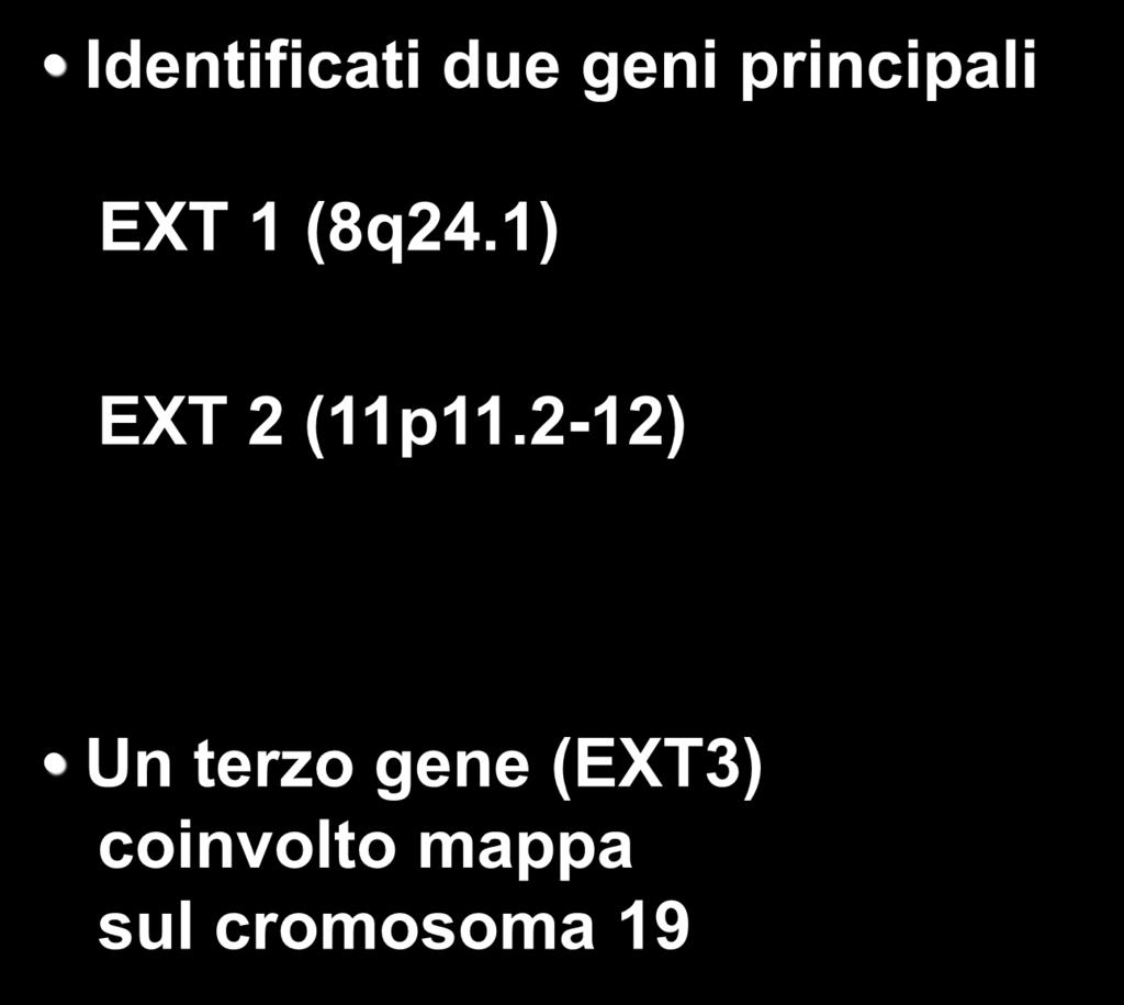 Identificati due geni principali EXT 1 (8q24.