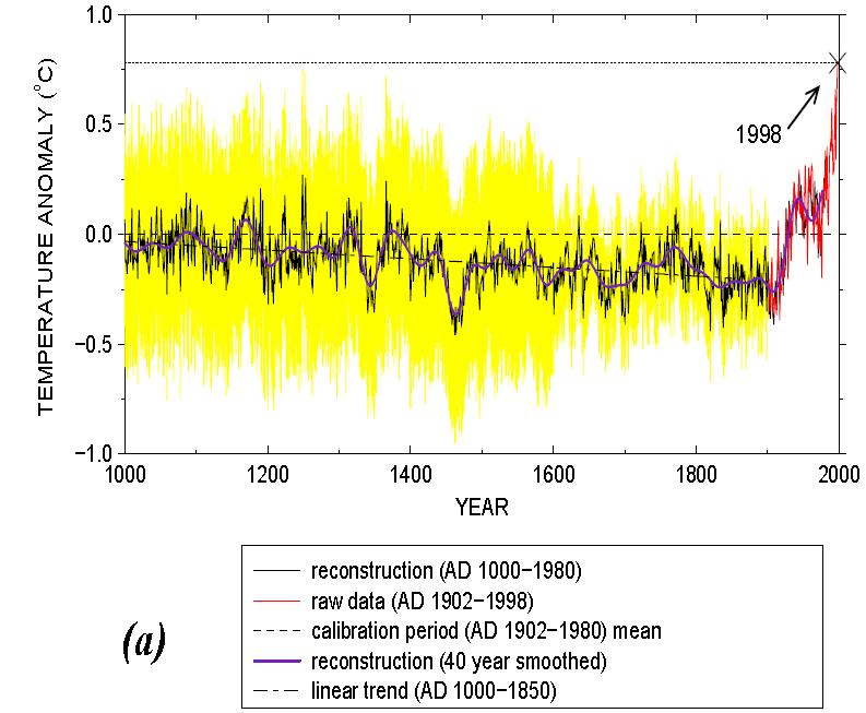 osservazione delle tendenze I hockey stick (Mann,