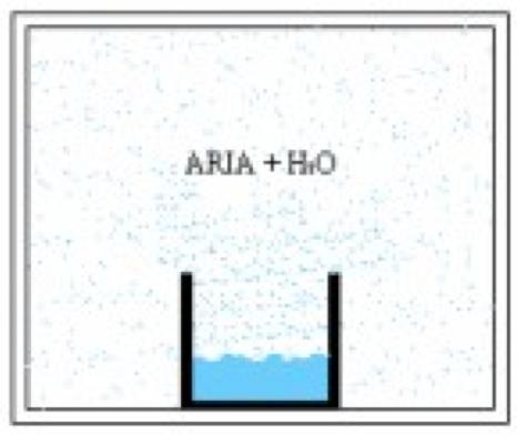 Aria umida Se in un ambiente chiuso, contenente aria secca, poniamo un recipiente contenente acqua, mantenendo la pressione (P) e la temperatura (T) costanti, dopo un certo tempo notiamo che il