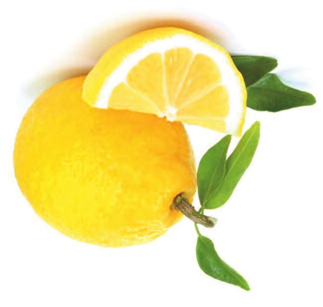 0016836 SUCCO DI LIMONE Succo naturale di limone