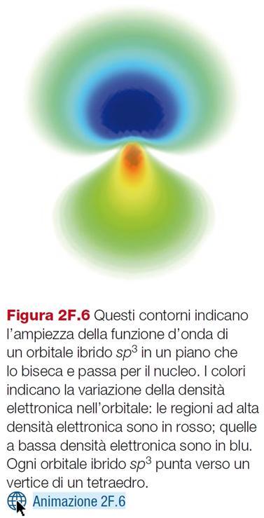 Ibridazione di orbitali Tutti gli orbitali ibridi che si ottengono con una data combinazione hanno la medesima energia, il cui valore è una media dell'energia degli orbitali atomici componenti.