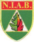 Il nucleo investigativo antincendi boschivi Dal 2000 il Corpo forestale dello Stato si è dotato di un Nucleo investigativo Antincendio Boschivi (NIAB), struttura investigativa specializzata nata per
