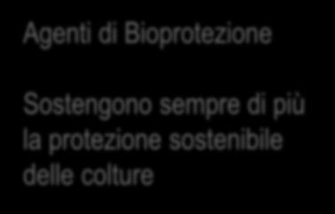 raccolto >10 % Dopo il raccolto Per affrontare le