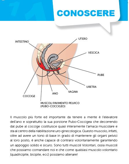 CONOSCERE