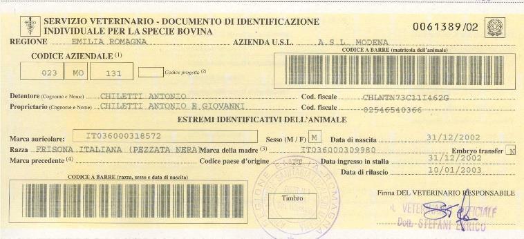 ANAGRAFE BOVINI E BUFALINI PASSAPORTO Esenzione obbligo passaporto per i bovini destinati alla sola commercializzazione nazionale (Legge 28 luglio 2016 n 154) Rimane obbligo per i soli animali