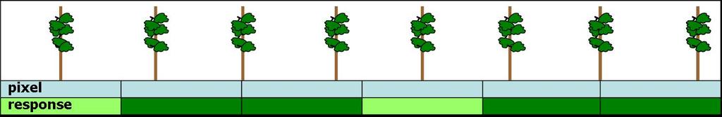 segmented