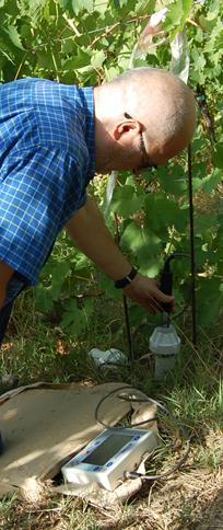 La rilevazione dell andamento dell umidità del terreno è avvenuta, tranne poche eccezioni, ogni martedì