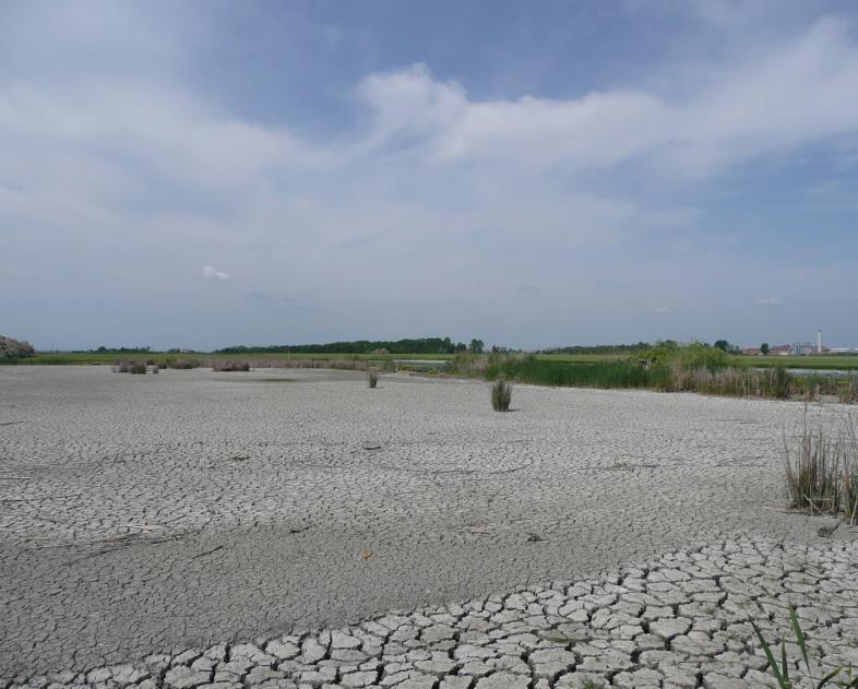 4. Contrasto risalita cuneo salino e salinizzazione dei terreni L irrigazione può mitigare gli effetti della