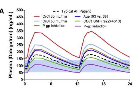 Plasma concentration profiles of