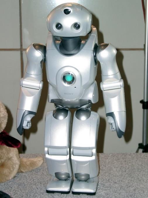 Social robotics «Per definizione un robot sociale dovrebbe comunicare ed interagire con gli umani o con altri