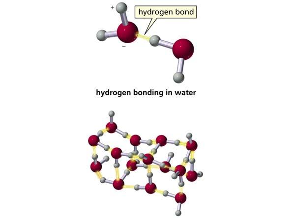 Dipolo Dipolo Un legame idrogeno è un tipo particolare di interazione dipolo-dipolo Le