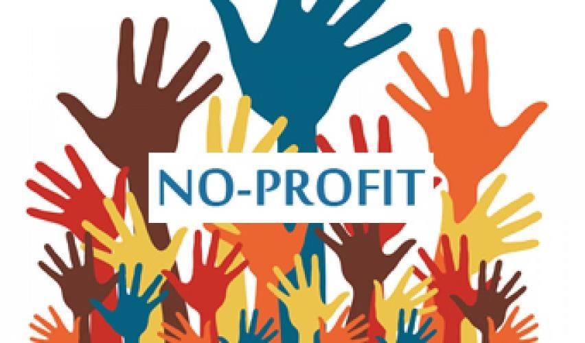 Le categorie di imprese no-profit Gli enti che compongono il mondo del non profit si differenziano sostanzialmente nella loro struttura, distinguendosi per tipo e status giuridico.