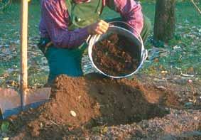 e vegetale nel suolo, da rendere i terreni argillosi più porosi e lavorabili e da permettere di trattenere l acqua in quelli sabbiosi.