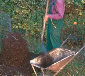 Possibile l impiego per la fertilizzazione dell orto e del giardino subito prima della semina o del trapianto.